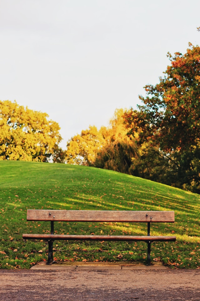 wooden bench in a public park